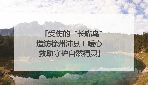 受伤的“长嘴鸟”造访徐州沛县！暖心救助守护自然精灵