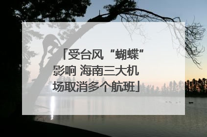 受台风“蝴蝶”影响 海南三大机场取消多个航班