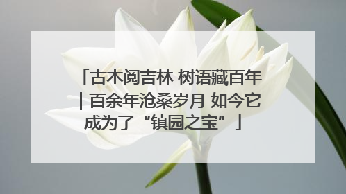 古木阅吉林 树语藏百年｜百余年沧桑岁月 如今它成为了“镇园之宝”
