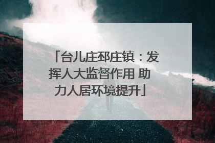 台儿庄邳庄镇：发挥人大监督作用 助力人居环境提升