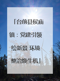 台前县侯庙镇：党建引领绘新景 环境整治焕生机