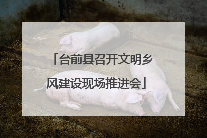 台前县召开文明乡风建设现场推进会