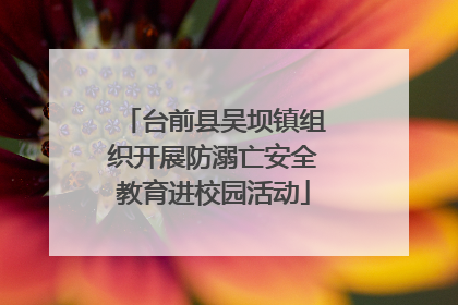 台前县吴坝镇组织开展防溺亡安全教育进校园活动