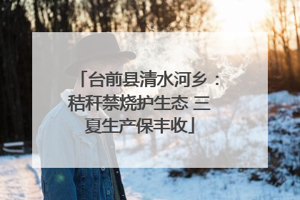 台前县清水河乡：秸秆禁烧护生态 三夏生产保丰收