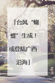 台风“蝴蝶”生成！或登陆广西沿海