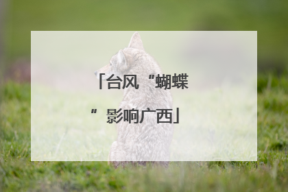 台风“蝴蝶”影响广西
