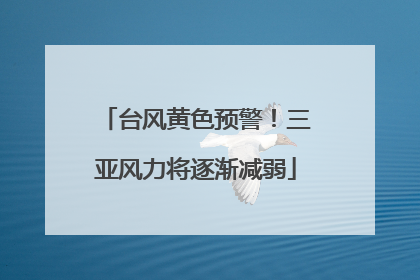 台风黄色预警！三亚风力将逐渐减弱