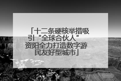 十二条硬核举措吸引“全球合伙人” 资阳全力打造数字游民友好型城市
