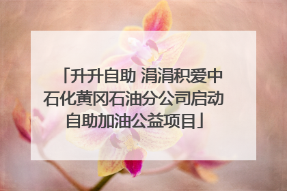 升升自助 涓涓积爱中石化黄冈石油分公司启动自助加油公益项目