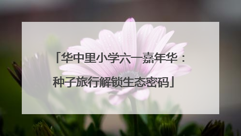 华中里小学六一嘉年华：种子旅行解锁生态密码