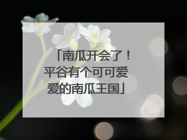 南瓜开会了！平谷有个可可爱爱的南瓜王国