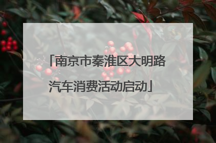 南京市秦淮区大明路汽车消费活动启动