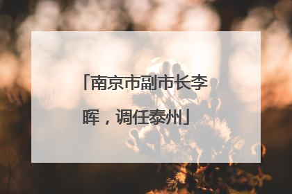 南京市副市长李晖，调任泰州