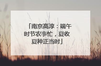 南京高淳：端午时节农事忙，夏收夏种正当时