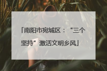 南阳市宛城区：“三个坚持”激活文明乡风