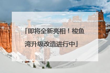 即将全新亮相！梭鱼湾升级改造进行中