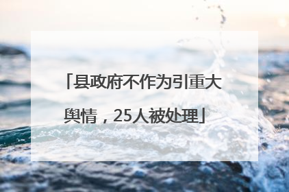 县政府不作为引重大舆情，25人被处理