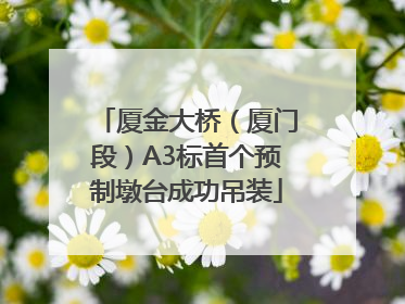 厦金大桥（厦门段）A3标首个预制墩台成功吊装