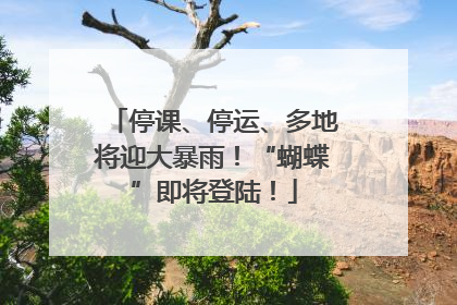 停课、停运、多地将迎大暴雨！“蝴蝶”即将登陆！