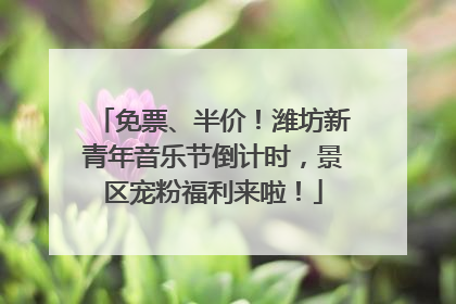 免票、半价！潍坊新青年音乐节倒计时，景区宠粉福利来啦！