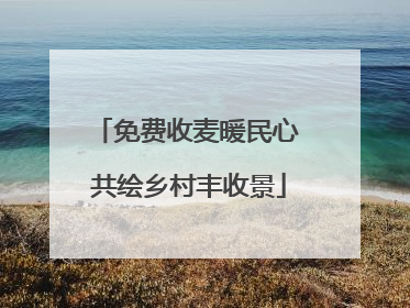 免费收麦暖民心 共绘乡村丰收景