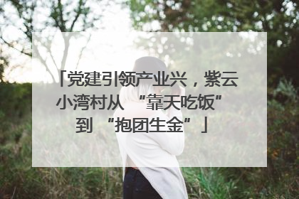 党建引领产业兴，紫云小湾村从 “靠天吃饭” 到 “抱团生金”