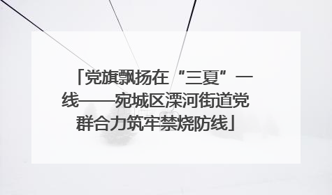 党旗飘扬在“三夏”一线——宛城区溧河街道党群合力筑牢禁烧防线