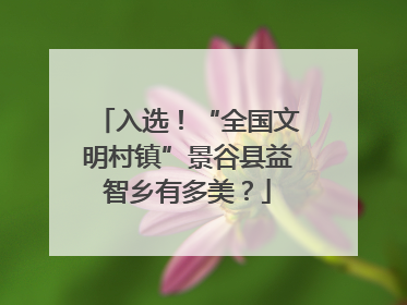 入选！“全国文明村镇”景谷县益智乡有多美？