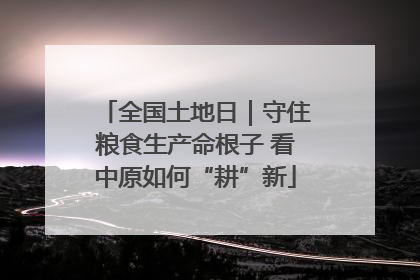 全国土地日｜守住粮食生产命根子 看中原如何“耕”新