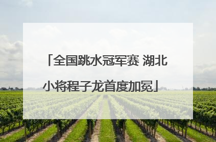 全国跳水冠军赛 湖北小将程子龙首度加冕