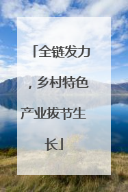 全链发力，乡村特色产业拔节生长