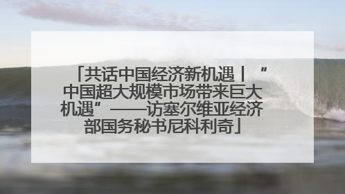 共话中国经济新机遇丨“中国超大规模市场带来巨大机遇”——访塞尔维亚经济部国务秘书尼科利奇