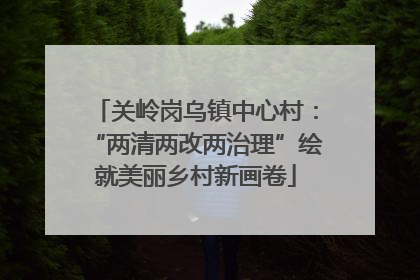 关岭岗乌镇中心村：“两清两改两治理”绘就美丽乡村新画卷