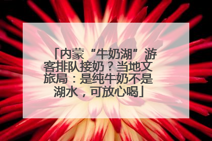 内蒙“牛奶湖”游客排队接奶？当地文旅局：是纯牛奶不是湖水，可放心喝