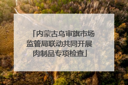 内蒙古乌审旗市场监管局联动共同开展肉制品专项检查