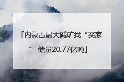 内蒙古最大碱矿找“买家” 储量20.77亿吨