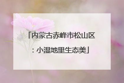 内蒙古赤峰市松山区：小湿地里生态美