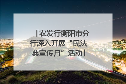 农发行衡阳市分行深入开展“民法典宣传月”活动