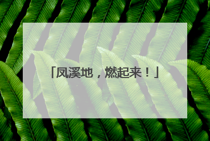 凤溪地，燃起来！