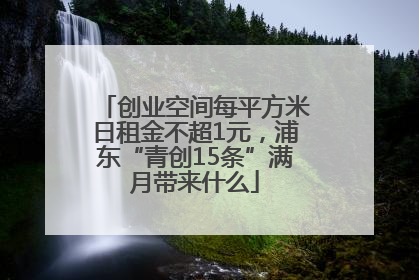 创业空间每平方米日租金不超1元，浦东“青创15条”满月带来什么