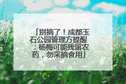别摘了！成都玉石公园管理方提醒：杨梅可能残留农药，勿采摘食用