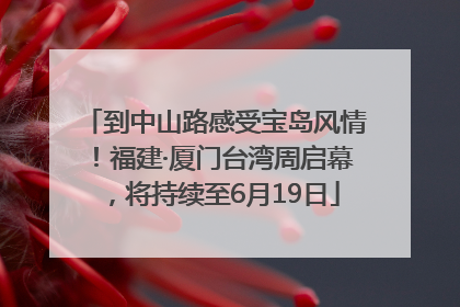 到中山路感受宝岛风情！福建·厦门台湾周启幕，将持续至6月19日