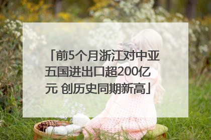 前5个月浙江对中亚五国进出口超200亿元 创历史同期新高