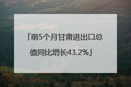 前5个月甘肃进出口总值同比增长43.2%