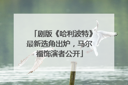 剧版《哈利波特》最新选角出炉，马尔福饰演者公开