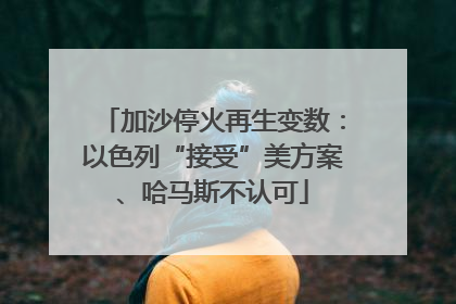 加沙停火再生变数：以色列“接受”美方案、哈马斯不认可