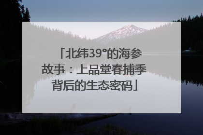北纬39°的海参故事：上品堂春捕季背后的生态密码