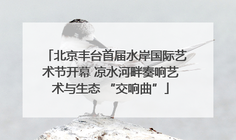 北京丰台首届水岸国际艺术节开幕 凉水河畔奏响艺术与生态 “交响曲”