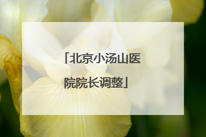 北京小汤山医院院长调整