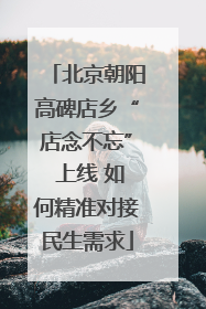 北京朝阳高碑店乡“店念不忘” 上线 如何精准对接民生需求